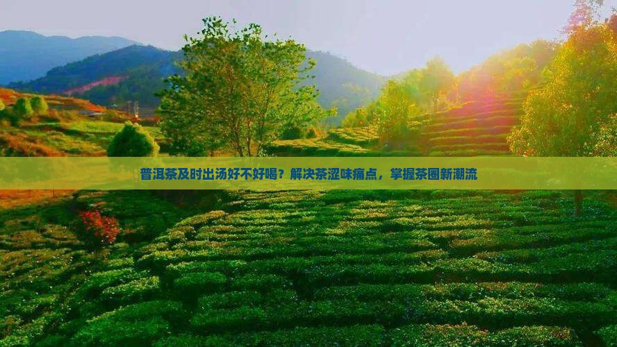 普洱茶及时出汤好不好喝