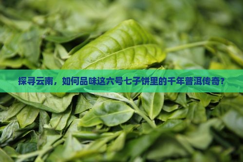 云南销台六号七子饼茶