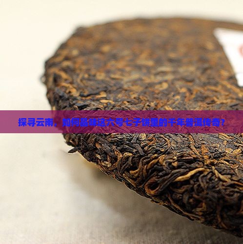 云南销台六号七子饼茶