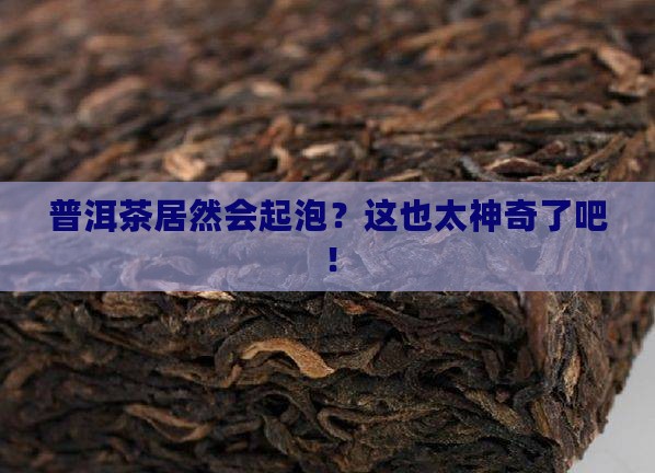 普洱茶怎么会起泡