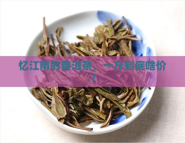 忆江南普洱茶多少钱一斤