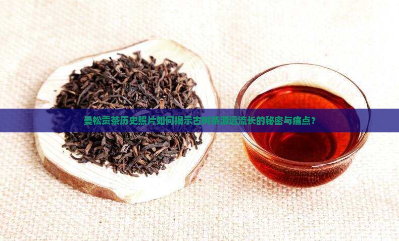 曼松贡茶历史照片
