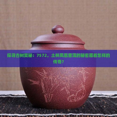 土林凤凰普洱茶7572