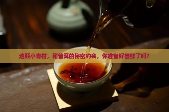 小青柑普洱茶桔普茶