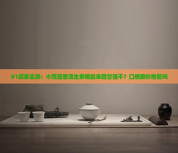 小荒田普洱生茶