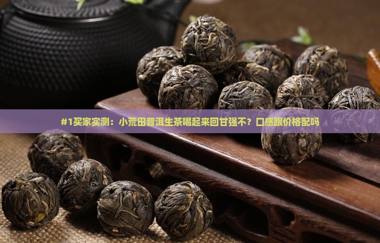 小荒田普洱生茶