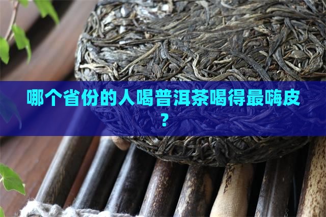 最喜欢普洱茶的省