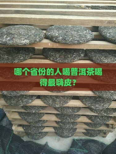 最喜欢普洱茶的省