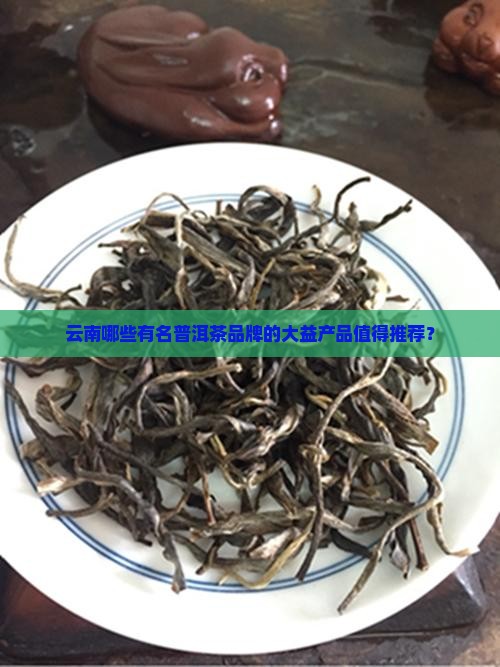 云南有哪些有名的普洱茶