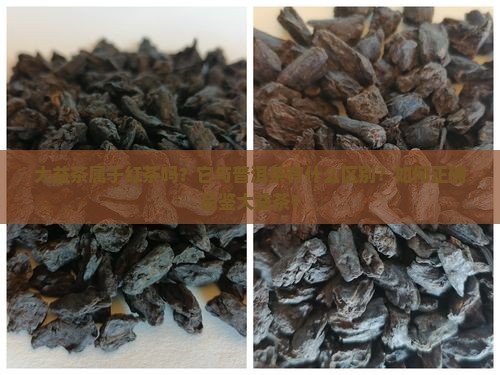 大益茶是红茶吗 大益茶是红茶吗