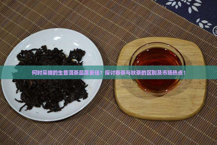 哪个季节生普洱茶好