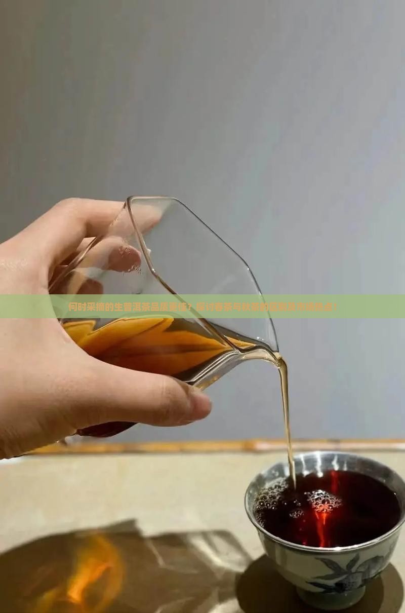 哪个季节生普洱茶好