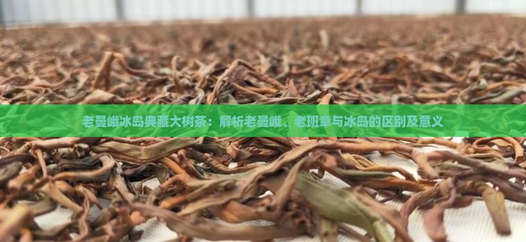 老曼峨冰岛典藏大树茶