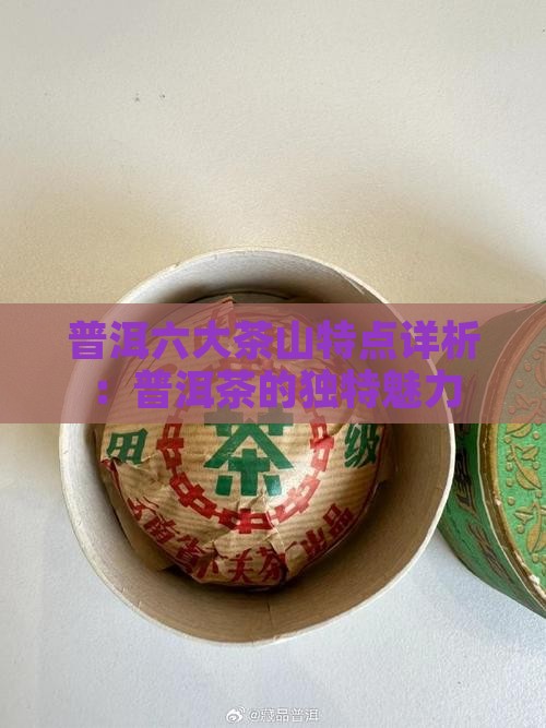 普洱茶六茶山的特点