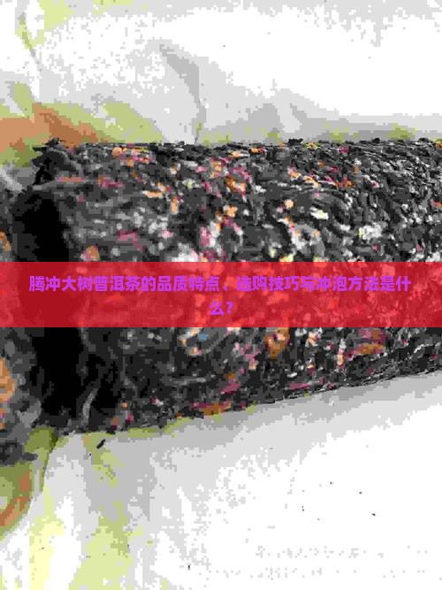 腾冲大树普洱茶