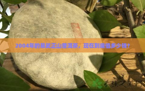 易武正山普洱茶2004年价格