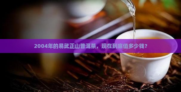 易武正山普洱茶2004年价格