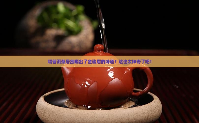 喝普洱茶有金骏眉味好吗