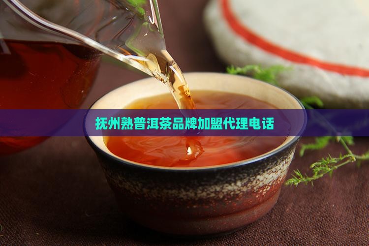 抚州熟普洱茶品牌加盟代理