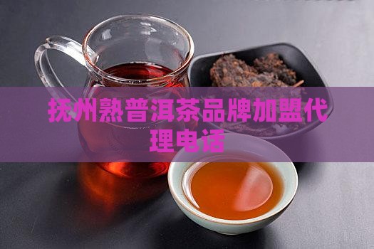 抚州熟普洱茶品牌加盟代理