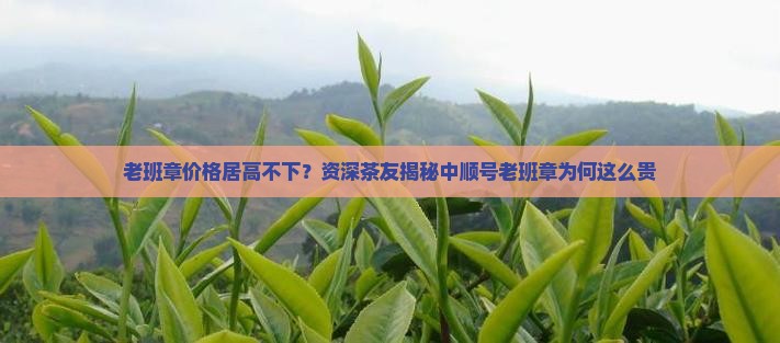 中顺号老班章价格