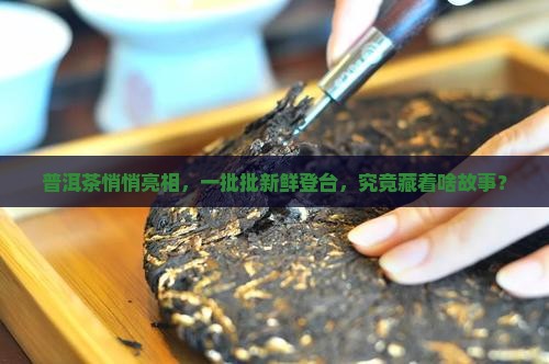 普洱茶陆陆续续到货什么意思