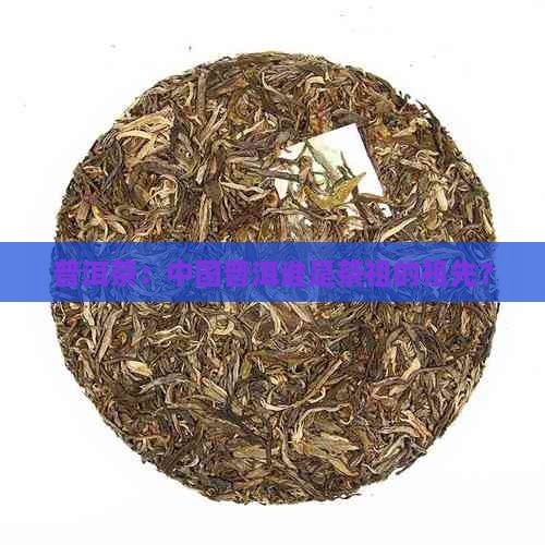 普洱茶是谁的祖先