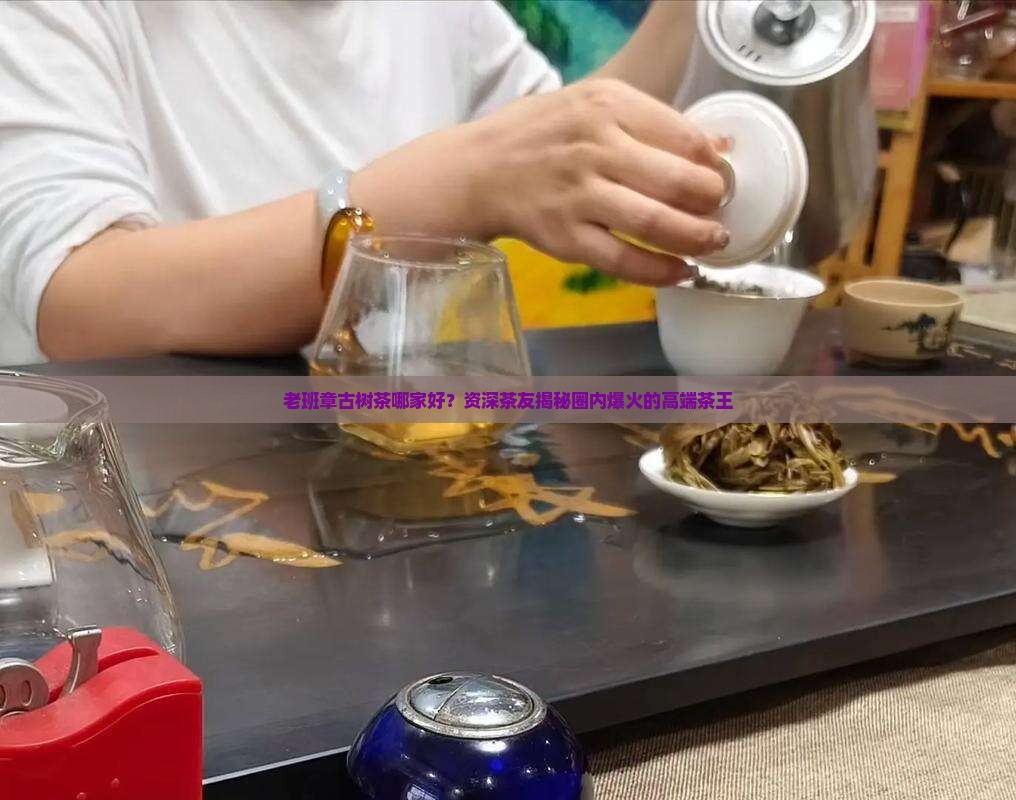 老班章古树茶哪家好