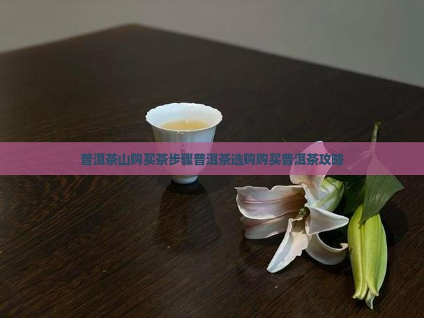 普洱茶山购买茶步骤