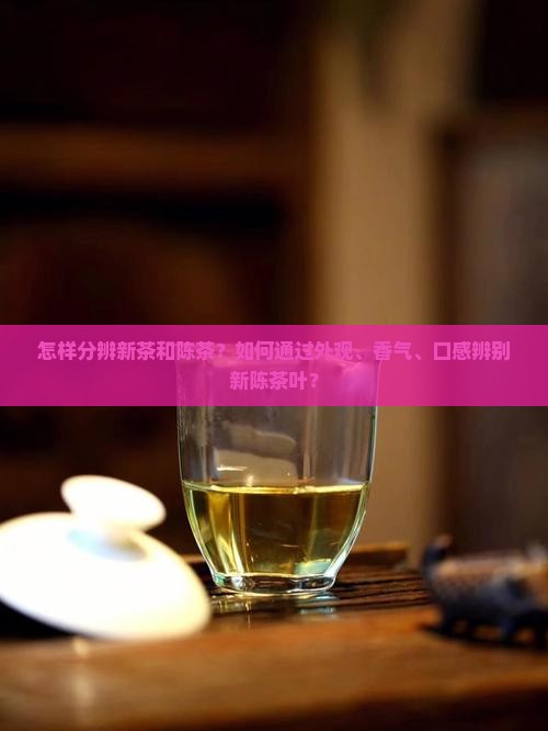 怎样分辨新茶和陈茶