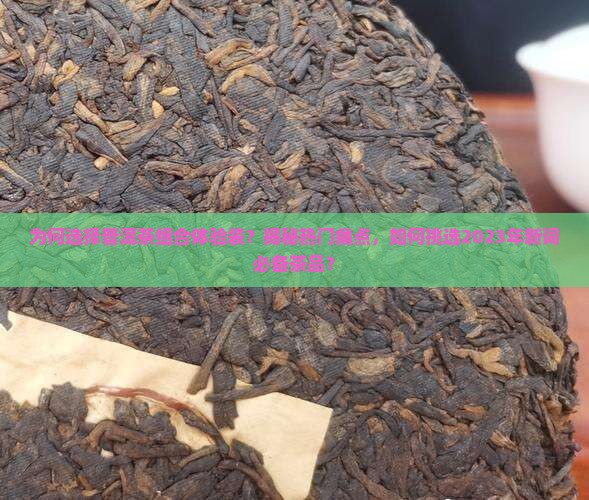 普洱茶组合体验装