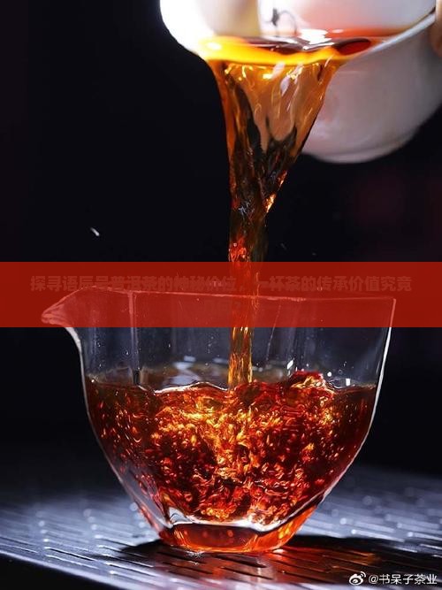 语辰号普洱茶多少钱一斤