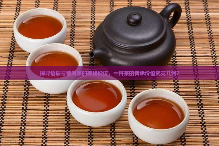 语辰号普洱茶多少钱一斤