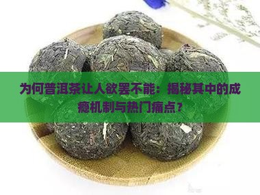 普洱茶上瘾原因