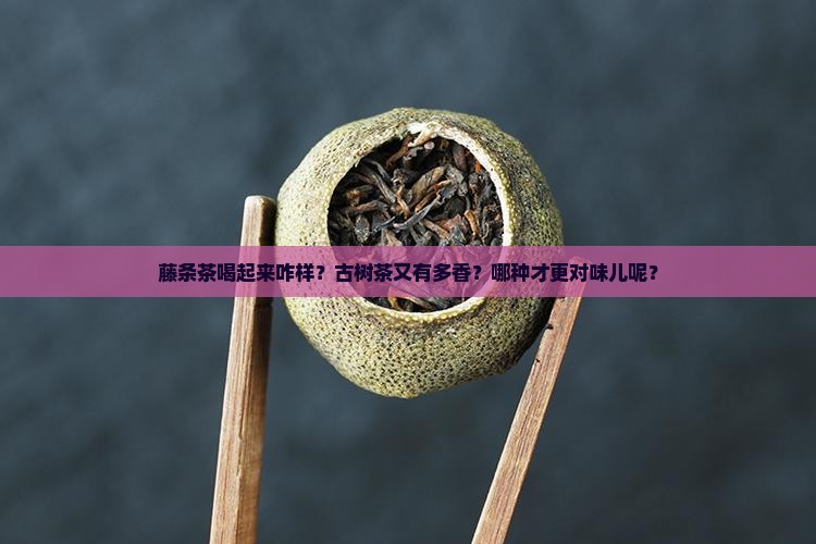 藤条茶好喝还是古树茶好喝