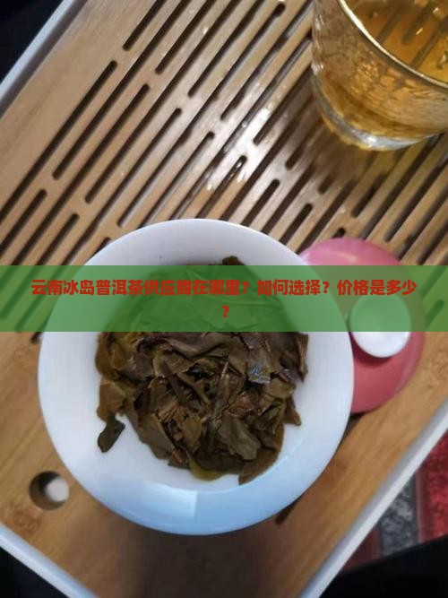 云南冰岛普洱茶供应商