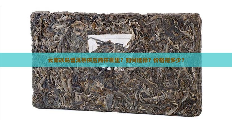 云南冰岛普洱茶供应商