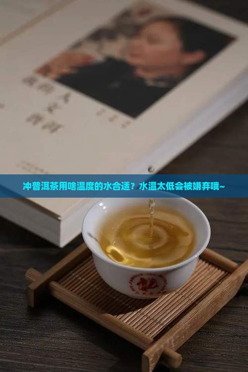 冲普洱茶多少温度合适