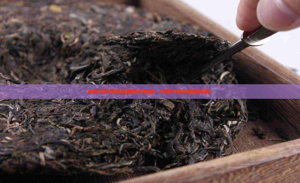 冲普洱茶多少温度合适