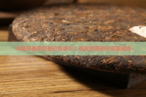 中茶早春普洱茶价格多少