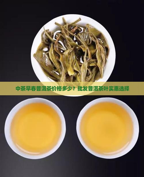 中茶早春普洱茶价格多少