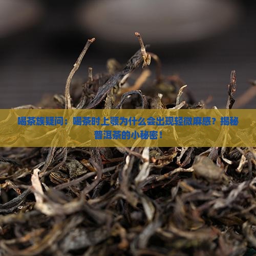 喝普洱茶上颚稍麻