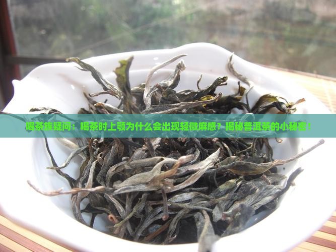 喝普洱茶上颚稍麻