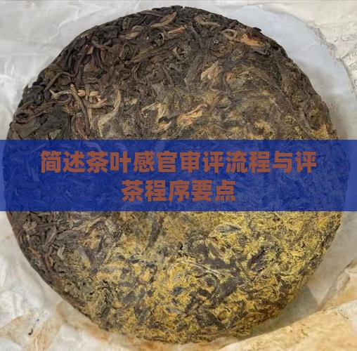 简述感官评茶的程序