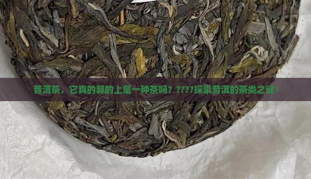 是否普洱茶属于茶类 是否普洱茶属于茶类
