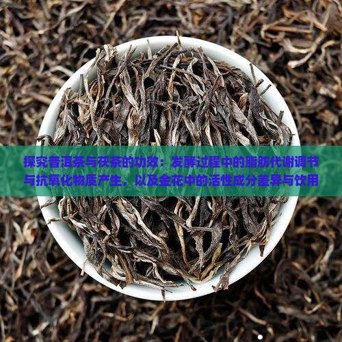 普洱茶和茯茶的功效与作用 普洱茶和茯茶的功效与作用