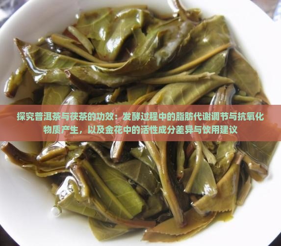 普洱茶和茯茶的功效与作用 普洱茶和茯茶的功效与作用