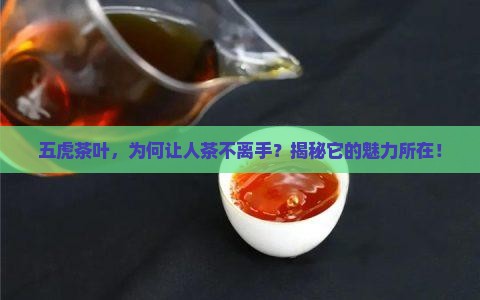 五虎茶叶怎么样