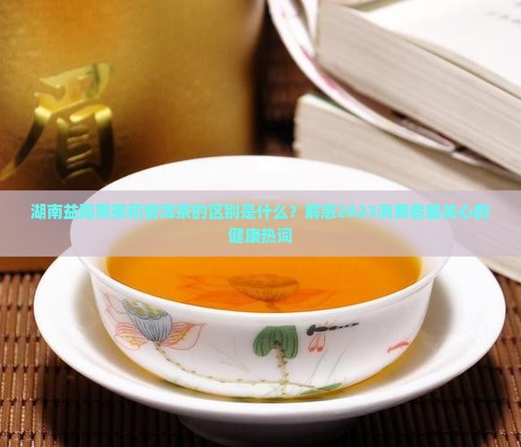 湖南益阳黑茶和普洱茶区别