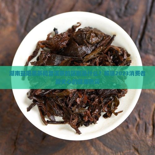 湖南益阳黑茶和普洱茶区别